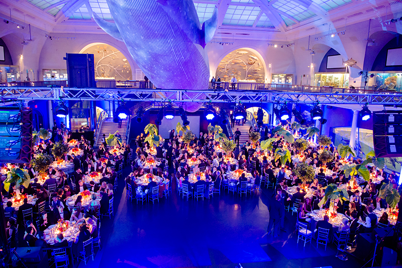 Museum Of Natural History Wedding Nyc Venue Museum Of Natural History Wedding Nyc Venue