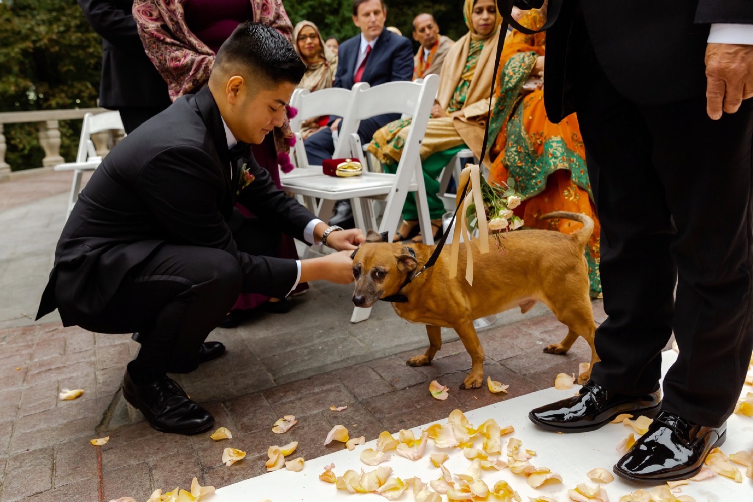 One groomsman taking out a wedding ring from a dog at the Tappan Hill Mansion.