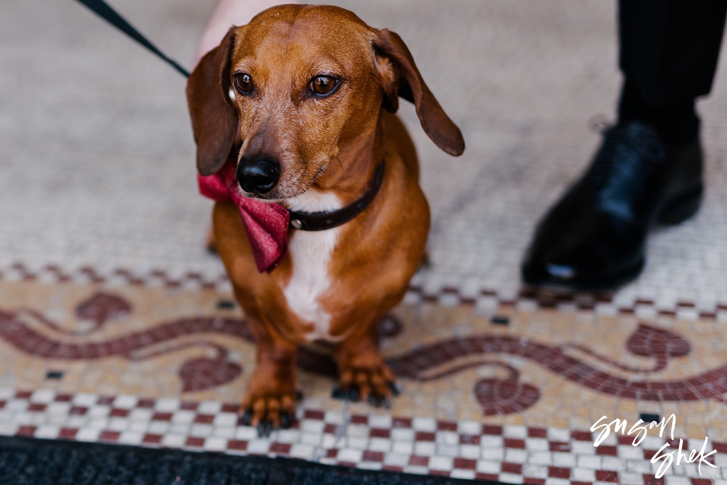 Susan Shek New York Wedding Photography