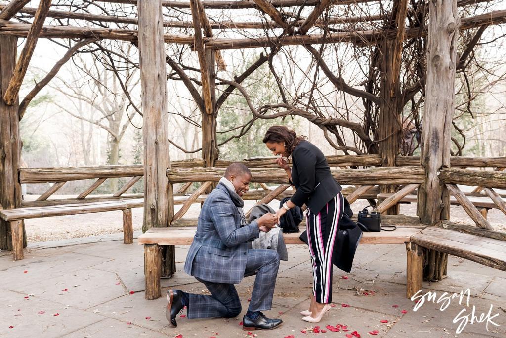 surprise proposal, marriage proposal, wedding proposal, brooklyn bridge surprise proposal, brooklyn bridge park surprise proposal, cop cot surprise proposal, central park surprise proposal