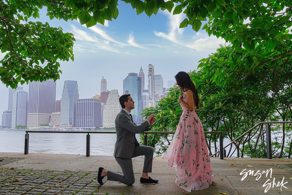 surprise proposal new york