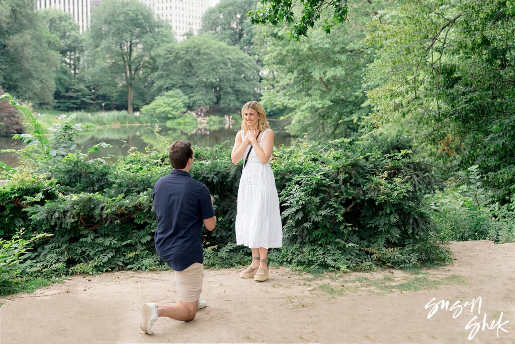 surprise proposal in central park in july