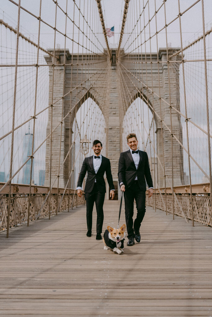 Two grooms walking their corgi across the Brooklyn Bridge