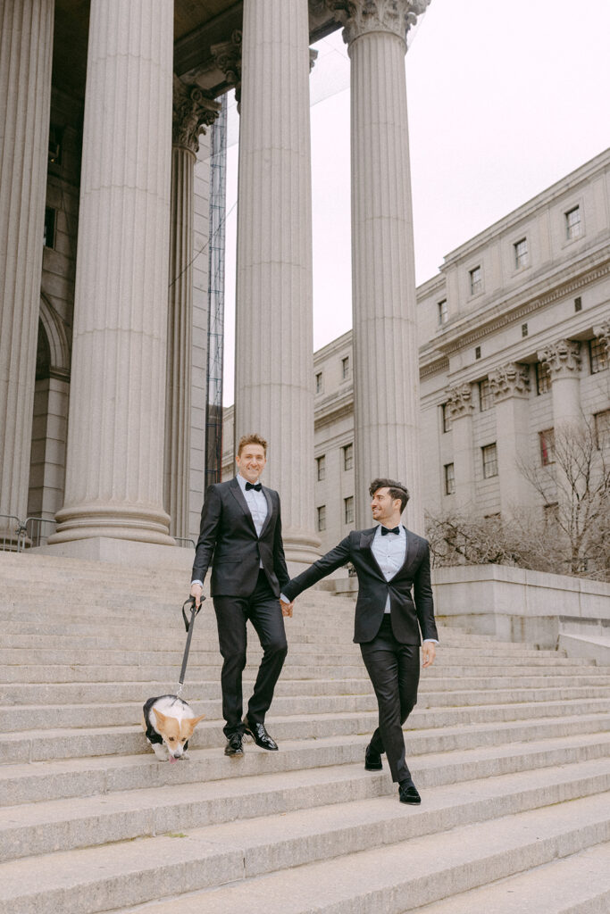 Two grooms walking down wide courthouse steps with their corgi